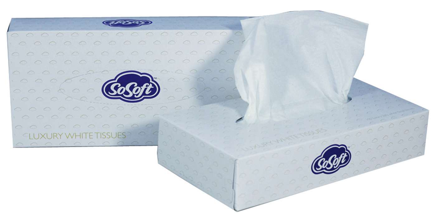 2 Ply White Facial Tissue x 100